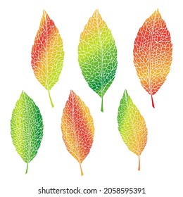 Autumn modern trends gradient leaves with veins. Yellow, red, orange, green autumn garden leaf. Vector set.