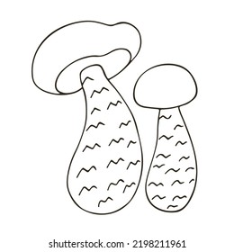 Autumn. Monochrome illustration in hand drawn style