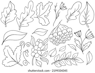 Autumn. Monochrome illustration in hand drawn style