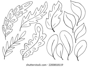 Autumn. Monochrome illustration in hand drawn style