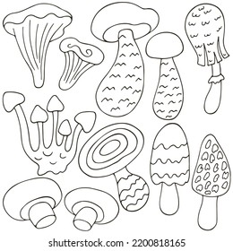 Autumn. Monochrome illustration in hand drawn style
