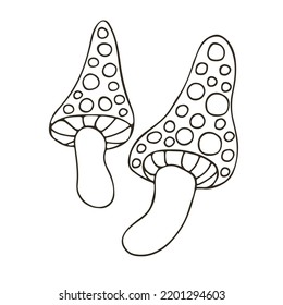 Autumn. Monochrome illustration in hand drawn style