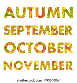 Autumn months vector illustration. Autumn, september, october, november names colored with fallen leaves different trees. For autumn nature concepts, calendar prints, seasonally ad promotions design