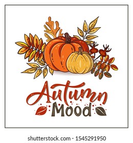 Autumn Mood hand drawn lettering text with autumn leaves and pumpkins. Rowan and oak leaves with gourds. Fall season elements for thanksgiving. For cards, poster, banner. Vector design