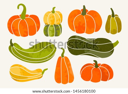 Autumn mood. Hand drawn vector set of various pumpkins. Colored trendy illustration. Flat design. Stamp texture. All elements are isolated