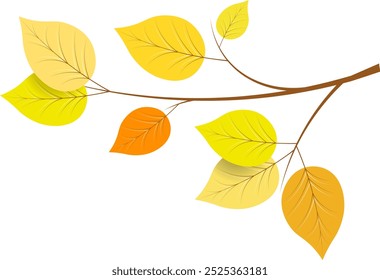 Autumn mood. Autumn leaves on a branch. Autumn collection. 