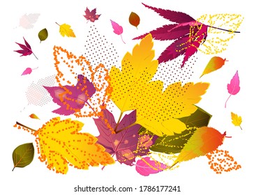 Autumn mood, pick up the bouquet that had fallen, the trail of the summer, dying, falling, veins, shape, nature, fantasy