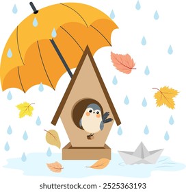 Autumn mood. Rain, puddles, a bird in a birdhouse in the rain, autumn leaves. Autumn collection.