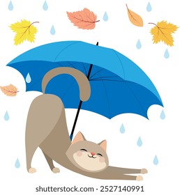 Autumn mood. It's raining and the cat is stretching under a blue umbrella. Autumn collection.