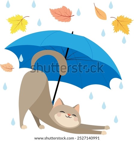 Autumn mood. It's raining and the cat is stretching under a blue umbrella. Autumn collection.