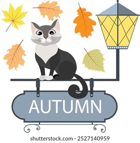 Autumn mood. A serious gray cat sits on a lamppost with a sign "Autumn", autumn leaves. Autumn collection.