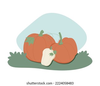Autumn mood. Set of pumpkins. Hand drawing of various pumpkins and leaves. Autumn harvest concept. Flat design. Stamp texture. Greeting Cards. Each illustration is isolated