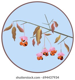 Autumn motif with a European spindle tree bough in a round frame. svg