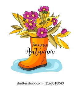 Autumn motives of boots
