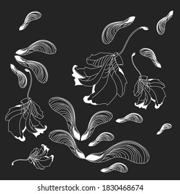 Autumn motives of flying foliage. Contour white maple leaves and lionfish on black background