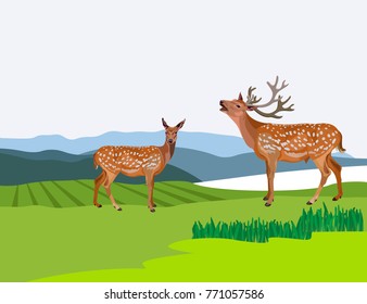 Autumn mountain landscape with deers. Vector illustration