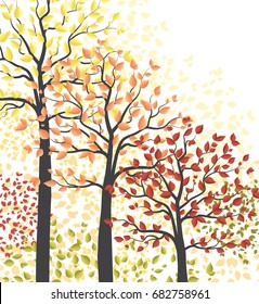 Autumn multicolored forest