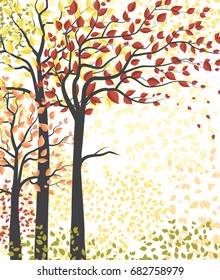 Autumn multicolored forest