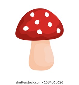 autumn mushroom exotic isolated icon vector illustration design