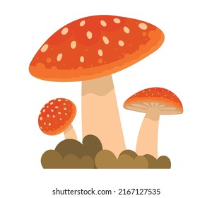 autumn mushroom and grass flat