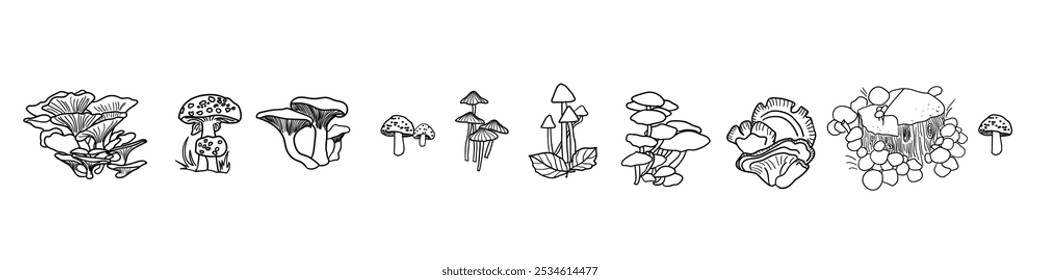 Autumn mushroom hand drawn elements. Hand drawn fall mushrooms doodles.