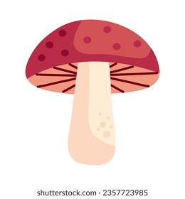 autumn mushroom icon isolated illustration