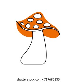autumn mushroom natural flora forest