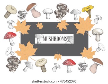 Autumn mushroom. Pattern fungi. menu design.