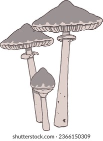 Autumn Mushroom Set Vector Isolated Illustration