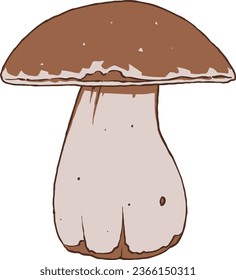 Autumn Mushroom Set Vector Isolated Illustration