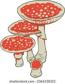 Autumn Mushroom Set Vector Isolated Illustration