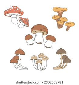 Autumn mushroom vector clip-art set isolated on white. Fall fungus hand drawn illustration collection. Happy Thanksgiving Day design elements