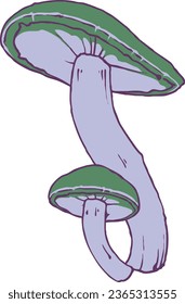 Conjunto de vectores de hongos de otoño 1 Ilustración de color aislado