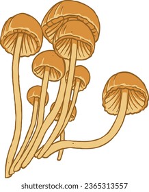 Autumn Mushroom Vector Set 1 Isolated Colored Illustration