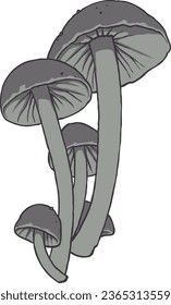 Autumn Mushroom Vector Set 1 Isolated Colored Illustration