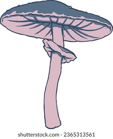 Autumn Mushroom Vector Set 1 Isolated Colored Illustration