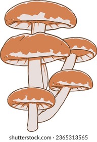 Autumn Mushroom Vector Set 1 Isolated Colored Illustration
