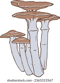 Autumn Mushroom Vector Set 1 Isolated Colored Illustration