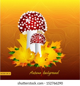 Autumn Mushrooms background vector