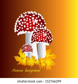 Autumn Mushrooms background vector