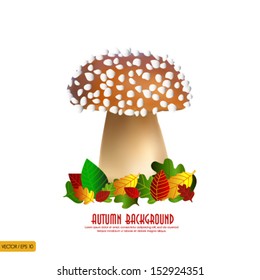 Autumn Mushrooms background vector