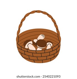 Autumn mushrooms in basket. Wicker with fresh picked edible fungi, boletus. Natural organic forest food, fall harvest. Seasonal fungus. Flat vector illustration isolated on white background