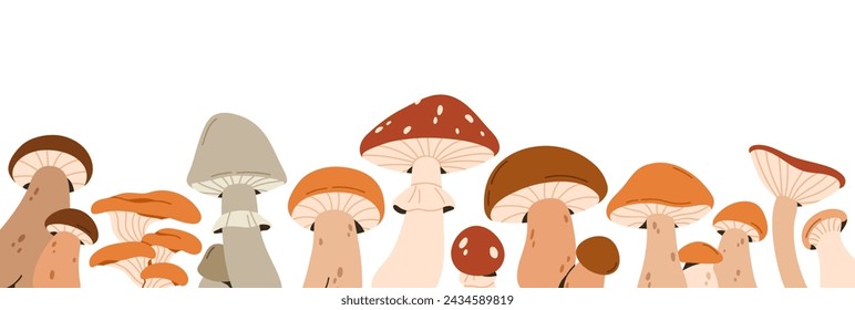 Autumn mushrooms border decoration. Fall fungi, horizontal decor. Forest food plants, fungus, boletus, banner design. Modern botanical decorative flat vector illustration isolated on white background