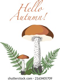  Autumn Mushrooms Card isolated Vector illustration on white background.