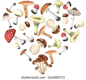  Autumn Mushrooms Card isolated Vector illustration on white background.