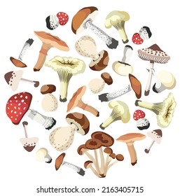  Autumn Mushrooms Card isolated Vector illustration on white background.