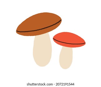 Autumn mushrooms composition in doodle style. Big and small edible forest fungi with stalks and caps. Fresh food from woods. Flat vector illustration isolated on white background