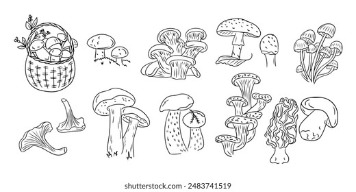 Autumn mushrooms contour doodle set with leaves and berries. Monochrome seasonal botanical contour stickers. Vector clipart of sketchy drawings isolated on white background