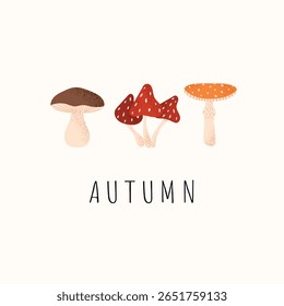 Ilustração de cogumelos de outono com boleto e mosca vermelha agarics. Fungos florestais coloridos em design sazonal acolhedor. Cartão postal de queda de vetor sobre fundo claro.