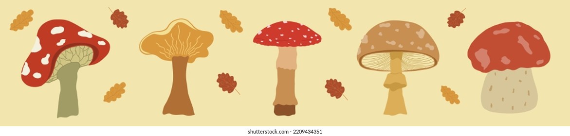 Autumn mushrooms and leaf elements in vector technique on a yellow background